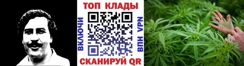 APVP Дятьково