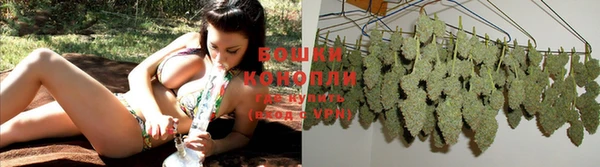 ешки Абаза