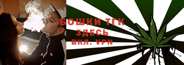 скорость Пестово