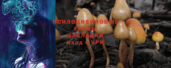 ешки Абаза