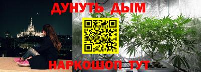альфа пвп Брянск