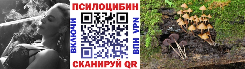 Галлюциногенные грибы MAGIC MUSHROOMS  ссылка на мегу ТОР  Дятьково 
